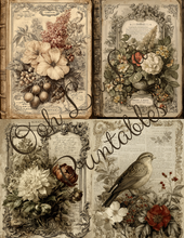 Load image into Gallery viewer, Victorian Botanicals- Ooh La La Printables