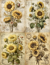 Load image into Gallery viewer, Sunflowers & Scarecrows- Ooh La La Printables
