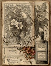 Load image into Gallery viewer, Victorian Botanicals- Ooh La La Printables