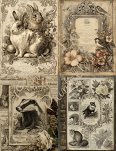 Load image into Gallery viewer, Soft Forest Hollow- Ooh La La Printables