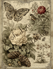 Load image into Gallery viewer, Victorian Botanicals- Ooh La La Printables