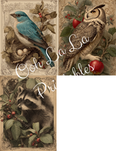 Load image into Gallery viewer, Victorian Hollow- Ooh La La Printables