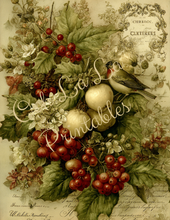 Load image into Gallery viewer, Storybook Christmas- Ooh La La Printables