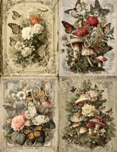 Load image into Gallery viewer, Fabulously Fall- Ooh La La Printables