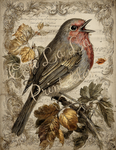 Load image into Gallery viewer, Fabulously Fall- Ooh La La Printables