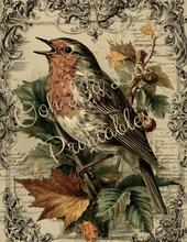 Load image into Gallery viewer, Fabulously Fall- Ooh La La Printables
