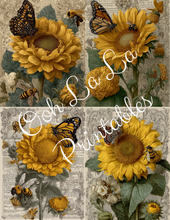 Load image into Gallery viewer, Orange Pumpkins & Sunflowers- Ooh La La Printables