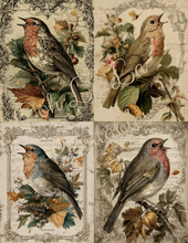 Load image into Gallery viewer, Fabulously Fall- Ooh La La Printables
