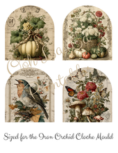 Load image into Gallery viewer, Fabulously Fall- Ooh La La Printables