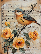 Load image into Gallery viewer, Baby Bird Bundle- Ooh La La Printables