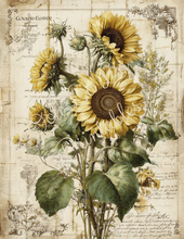 Load image into Gallery viewer, Sunflowers & Scarecrows- Ooh La La Printables