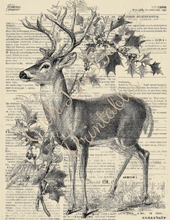 Load image into Gallery viewer, Soft Forest Hollow- Ooh La La Printables