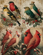 Load image into Gallery viewer, Royal Christmas Birds- Ooh La La Printables