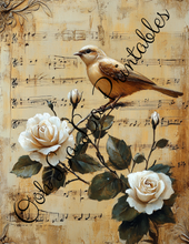 Load image into Gallery viewer, Baby Bird Bundle- Ooh La La Printables