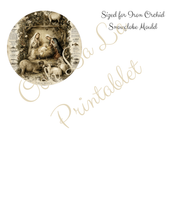 Load image into Gallery viewer, What Child Is This?- Ooh La La Printables
