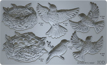 Load image into Gallery viewer, 2025 Iron Orchid Sparrow's Nest Mould 6x10