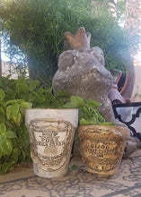 Load image into Gallery viewer, A Crockery Clay Impression Tutorial Class