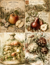 Load image into Gallery viewer, Jardin d'Automne- Ooh La La Printables