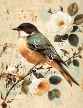 Load image into Gallery viewer, Birds W/ White Roses Bundle- Ooh La La Printables