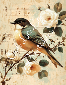 Birds W/ White Roses Bundle- Ooh La La Printables