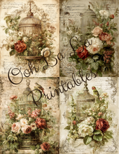 Load image into Gallery viewer, Birdcages- Ooh La La Printables
