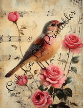 Load image into Gallery viewer, Birds with Pink Roses Bundle- Ooh La La Printables
