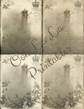 Load image into Gallery viewer, Backgrounds &amp; Book Prints- Ooh La La Printables