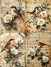 Load image into Gallery viewer, Baby Bird Bundle- Ooh La La Printables