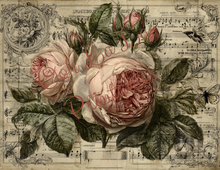 Load image into Gallery viewer, Paris &amp; Roses- Ooh La La Printables