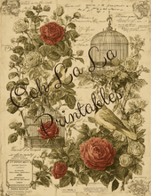 Load image into Gallery viewer, Birdcages- Ooh La La Printables