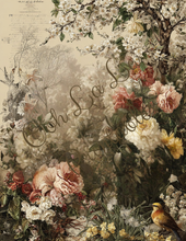 Load image into Gallery viewer, Backgrounds &amp; Book Prints- Ooh La La Printables