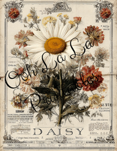 Load image into Gallery viewer, Garden's Delight- Ooh La La Printables