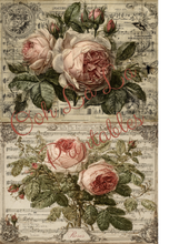Load image into Gallery viewer, Paris &amp; Roses- Ooh La La Printables