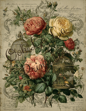 Load image into Gallery viewer, Birdcages- Ooh La La Printables