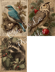Victorian Hollow- Ooh La La Printables