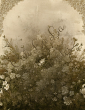 Load image into Gallery viewer, Backgrounds &amp; Book Prints- Ooh La La Printables