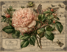 Load image into Gallery viewer, Paris &amp; Roses- Ooh La La Printables