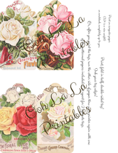 Load image into Gallery viewer, Vintage Floral No-Sew Journal Techniques Class w/Printables- Ooh La La Printables