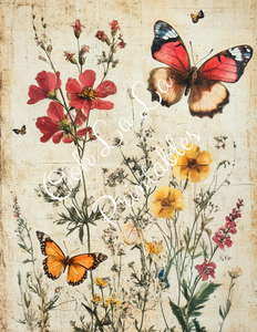 Travis's Vintage Botanicals Bundle- Ooh La La Printables