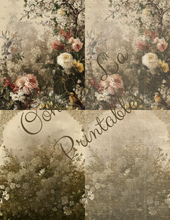 Load image into Gallery viewer, Backgrounds &amp; Book Prints- Ooh La La Printables