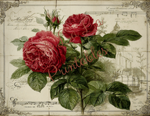 Load image into Gallery viewer, Paris &amp; Roses- Ooh La La Printables