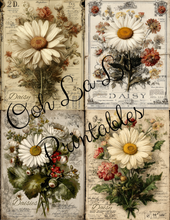Load image into Gallery viewer, Garden's Delight- Ooh La La Printables