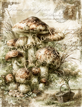 Load image into Gallery viewer, Jardin d'Automne- Ooh La La Printables