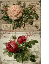 Load image into Gallery viewer, Paris &amp; Roses- Ooh La La Printables
