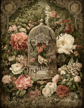 Load image into Gallery viewer, Birdcages- Ooh La La Printables