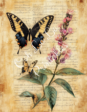 Load image into Gallery viewer, Travis&#39;s Vintage Botanicals Bundle- Ooh La La Printables