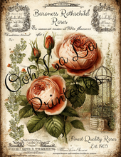 Load image into Gallery viewer, Garden's Delight- Ooh La La Printables