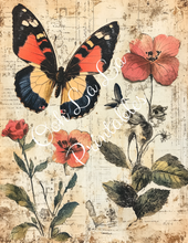 Load image into Gallery viewer, Travis&#39;s Vintage Botanicals Bundle- Ooh La La Printables