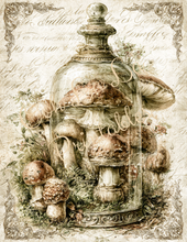Load image into Gallery viewer, Jardin d'Automne- Ooh La La Printables