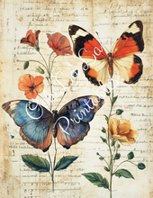 Load image into Gallery viewer, Travis&#39;s Vintage Botanicals Bundle- Ooh La La Printables